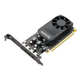 NVIDIA Quadro P1000 - Carte graphique - Quadro P1000 - 4 Go GDDR5 - PCIe 3.0 x16 profil bas - 4 x Min... (VCQP1000V2-PB)_2